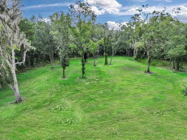 a view of a park with a tree in a park