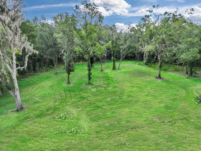 a view of a park with a tree in a park