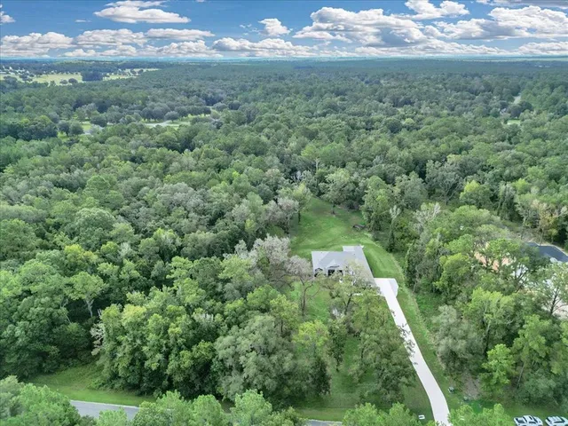 a view of a big yard with lots of trees