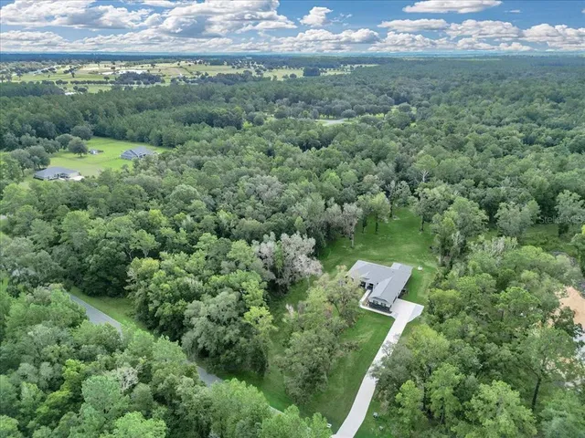 a view of a lush green forest