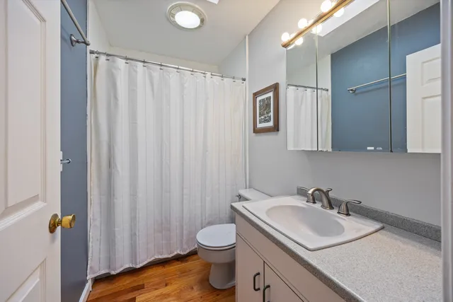 a bathroom with a sink a toilet and shower curtain