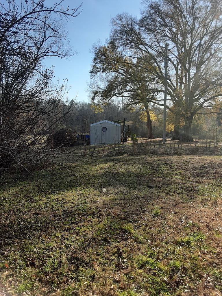 996 Kirby Young Road Dalton, GA 30721 - Photo 9 of 51 Gallery Image 9