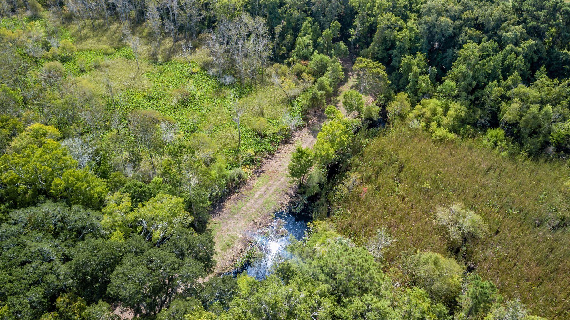 4665 River Road Johns Island, SC 29455 - Photo 24 of 88 20180910132301279263000000-o