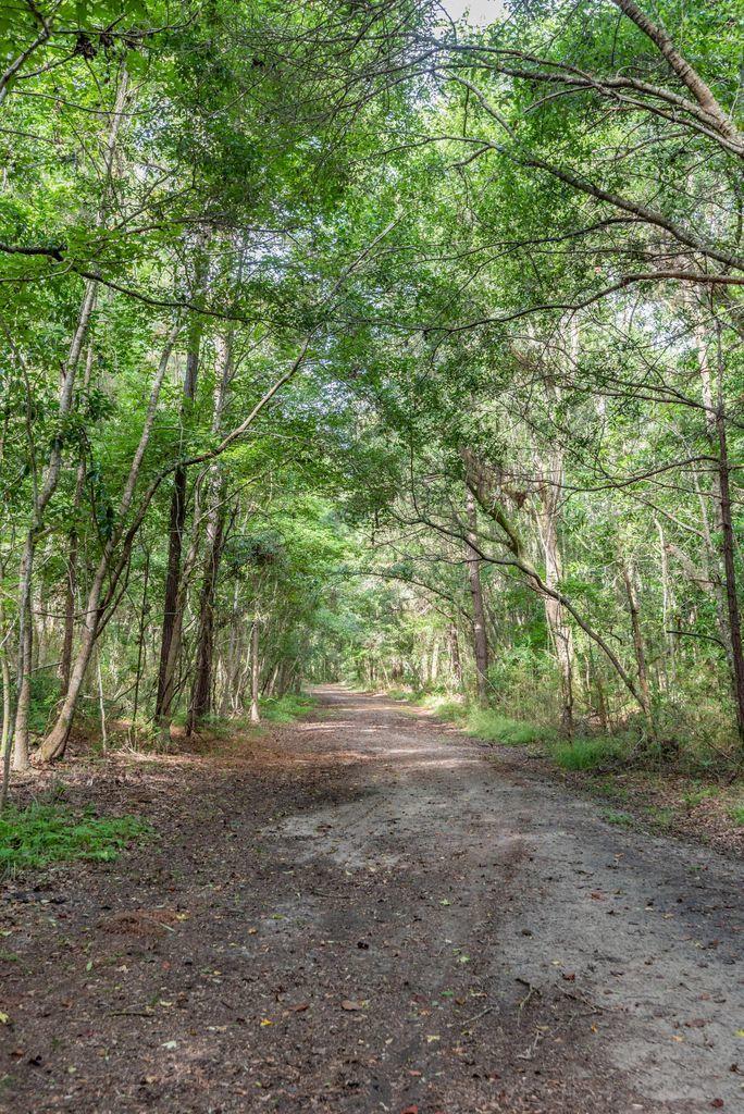 4665 River Road Johns Island, SC 29455 - Photo 4 of 88 20180910132145885430000000-o