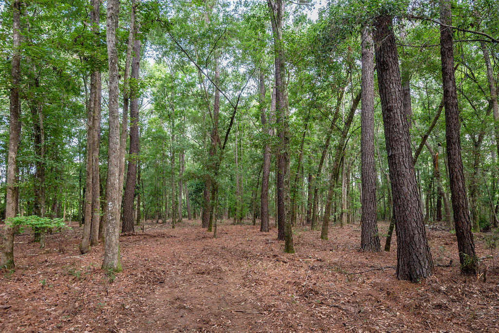 4665 River Road Johns Island, SC 29455 - Photo 44 of 88 4665RiverRoad-7