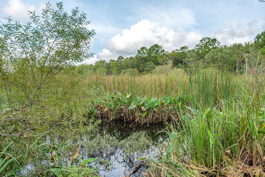 4665 River Road Johns Island, SC 29455 - Photo 47 of 88 4665RiverRoad-10