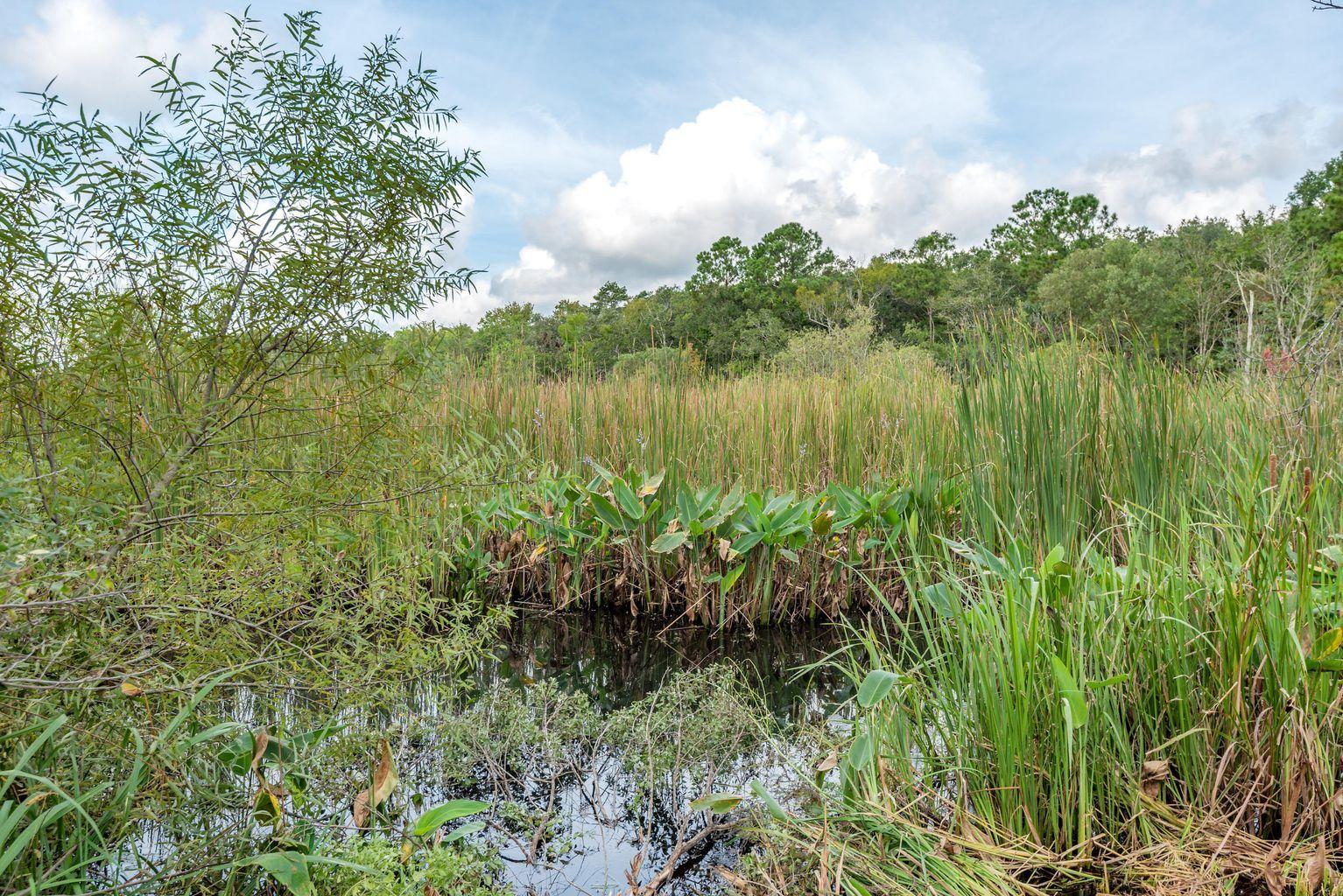 4665 River Road Johns Island, SC 29455 - Photo 9 of 88 20180910132157018759000000-o