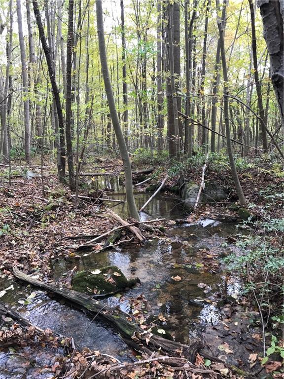 0 Red Arrow Road Ligonier, PA 15658 - Photo 1 of 11 Gallery Image 1