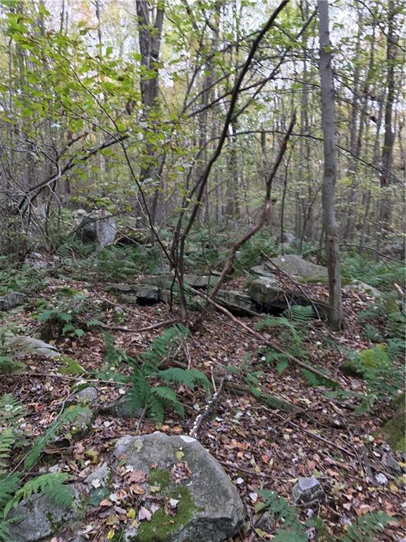 0 Red Arrow Road Ligonier, PA 15658 - Photo 11 of 11 Gallery Image 11