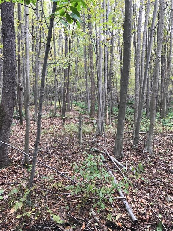 0 Red Arrow Road Ligonier, PA 15658 - Photo 3 of 11 Gallery Image 3
