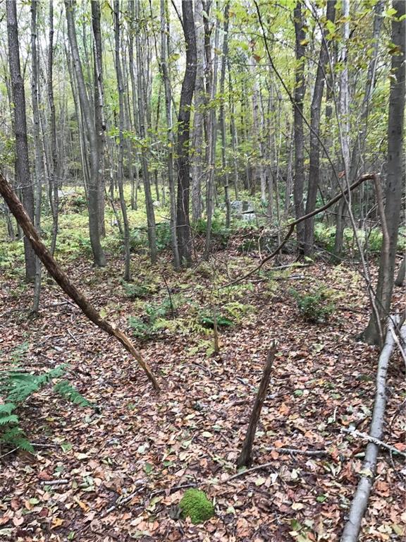 0 Red Arrow Road Ligonier, PA 15658 - Photo 5 of 11 Gallery Image 5