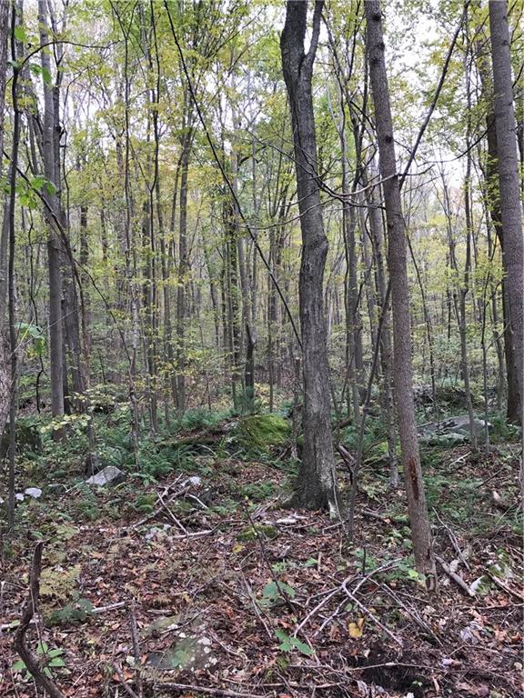 0 Red Arrow Road Ligonier, PA 15658 - Photo 6 of 11 Gallery Image 6
