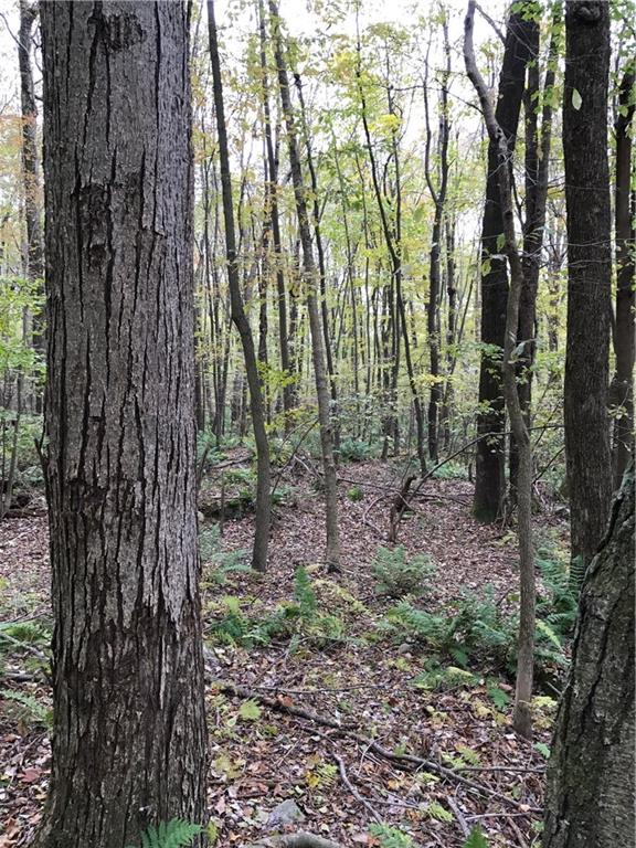 0 Red Arrow Road Ligonier, PA 15658 - Photo 7 of 11 Gallery Image 7