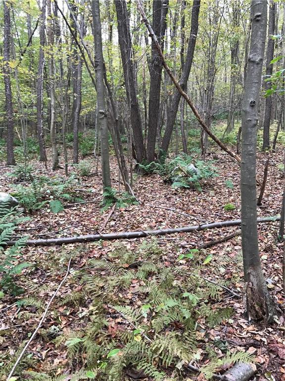 0 Red Arrow Road Ligonier, PA 15658 - Photo 8 of 11 Gallery Image 8