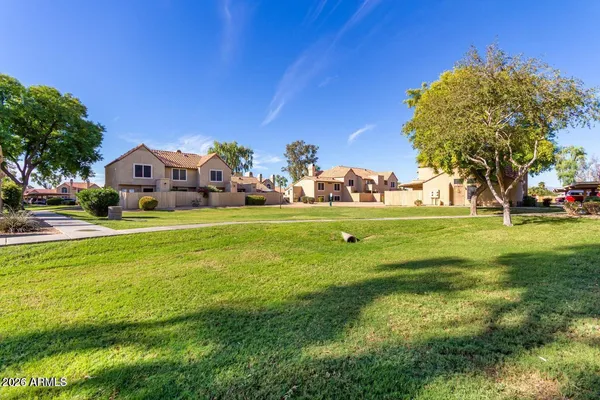 a view of a backyard with a garden and plants