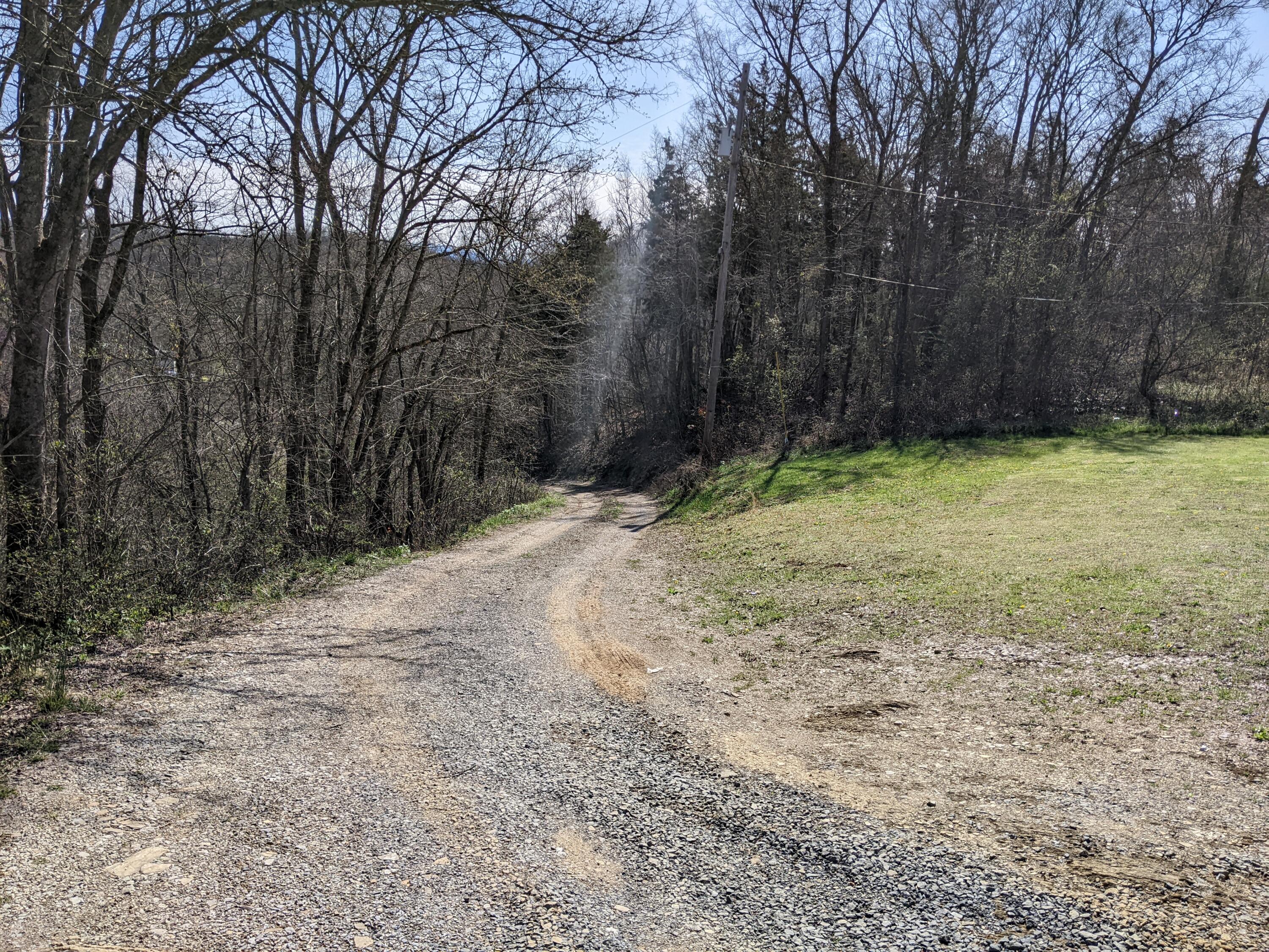 700 Jackson Hollow Road Mosheim, TN 37818 - Photo 3 of 15 PXL_20220324_153549227
