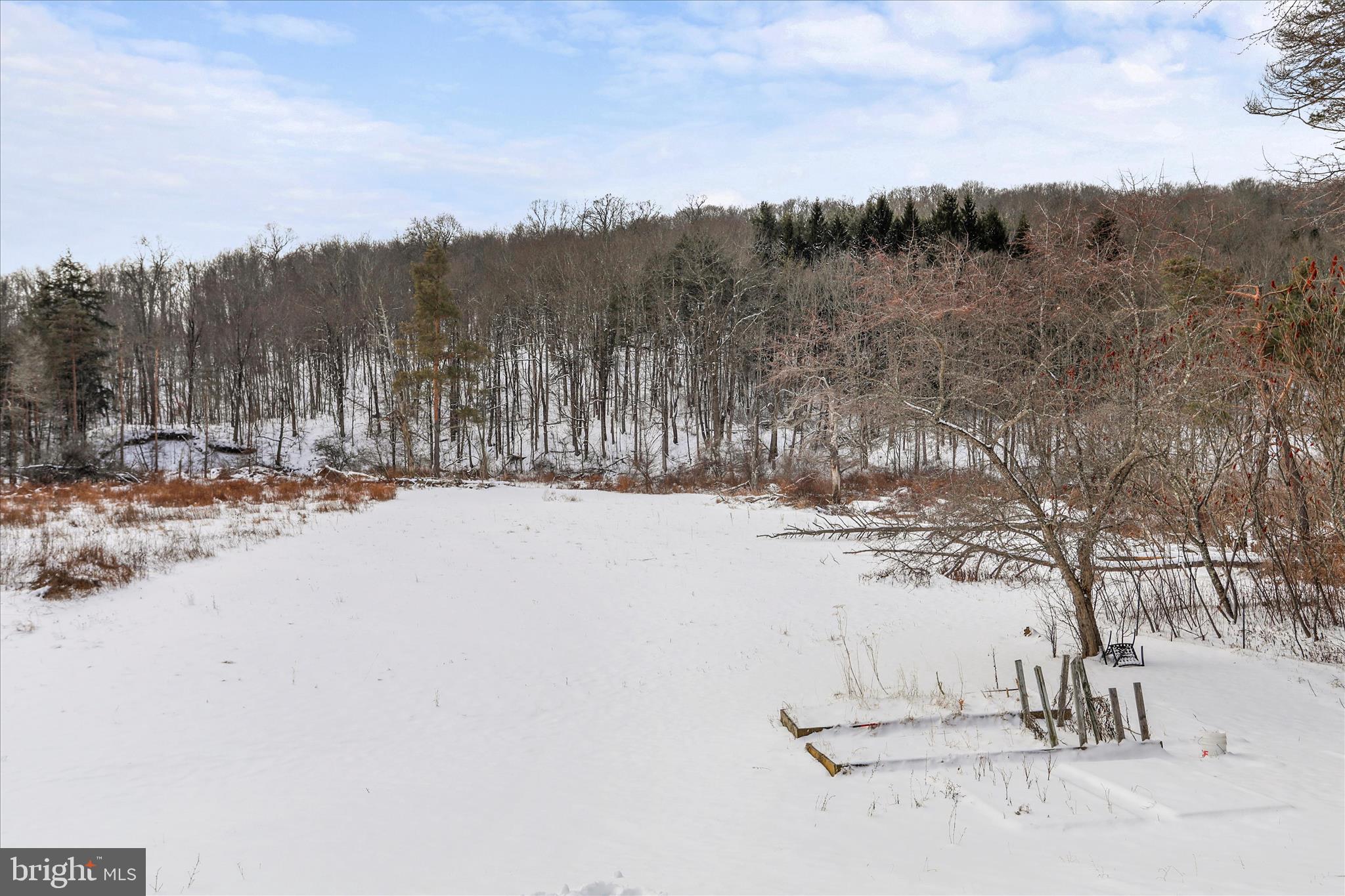 107 Shade Hollow Road Grantsville, MD 21536 - Photo 35 of 38 Lots of room to roam.