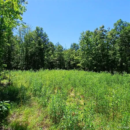 $285,400 | 0 Easement, Annapolis, MO 63620