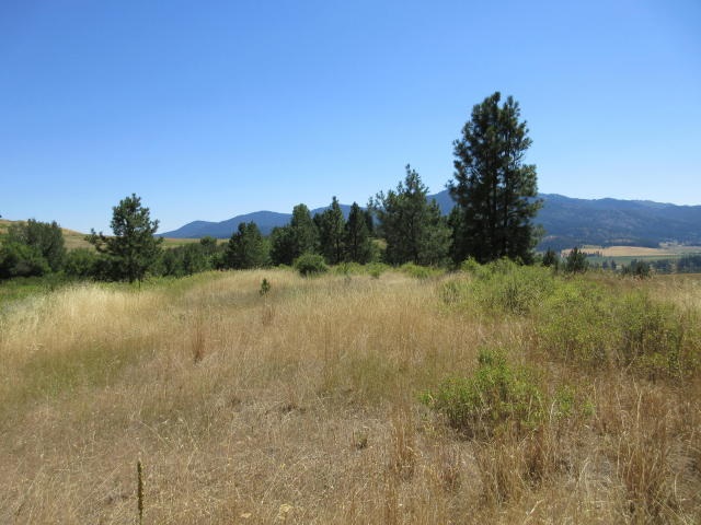 860 Vanasse Road Kettle Falls, WA 99141 - Photo 3 of 11 Gallery Image 3
