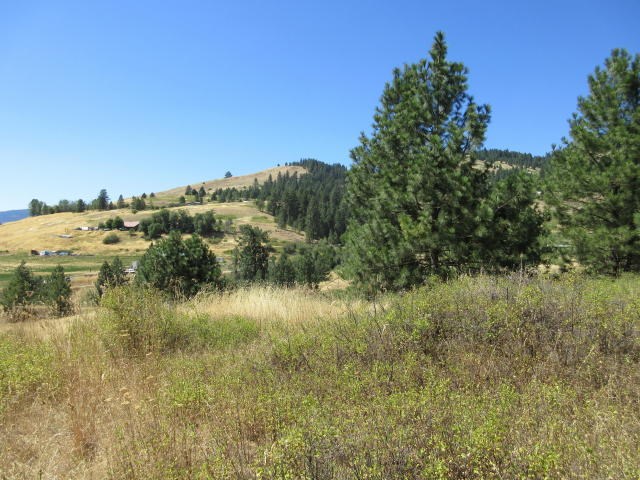 860 Vanasse Road Kettle Falls, WA 99141 - Photo 5 of 11 Gallery Image 5
