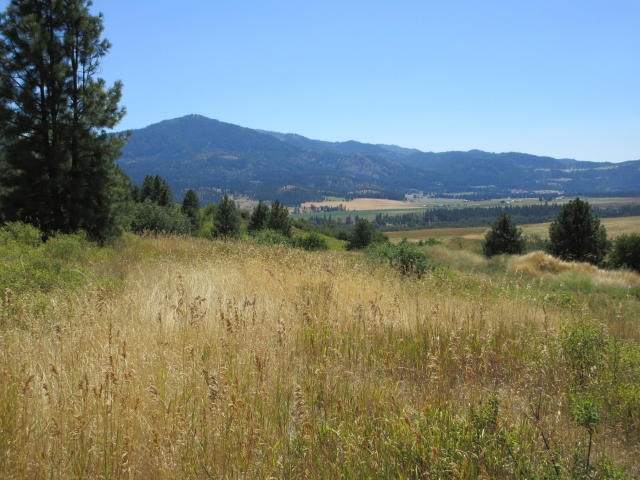 860 Vanasse Road Kettle Falls, WA 99141 - Photo 6 of 11 Gallery Image 6