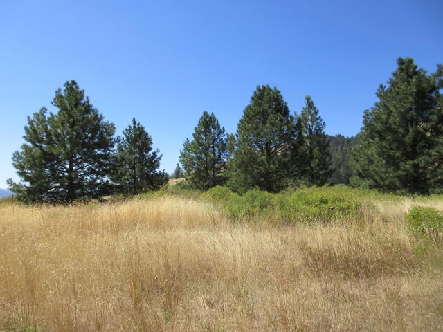860 Vanasse Road Kettle Falls, WA 99141 - Photo 8 of 11 Gallery Image 8