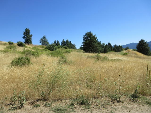 860 Vanasse Road Kettle Falls, WA 99141 - Photo 9 of 11 Gallery Image 9