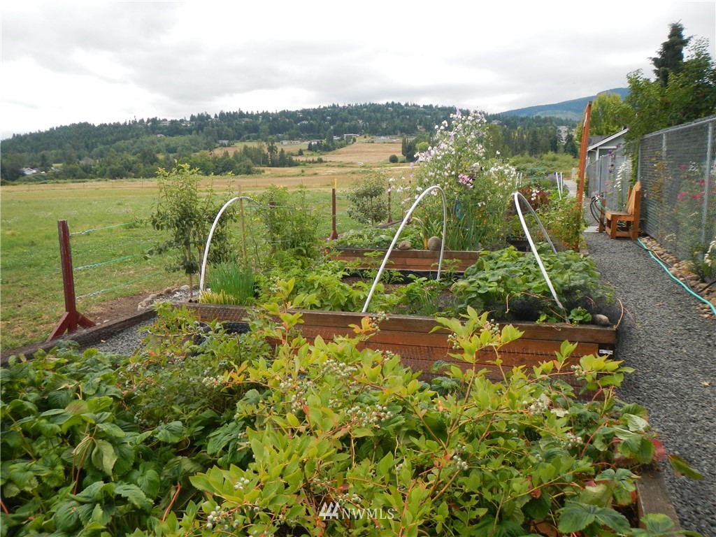 372 East Maple Street Sequim, WA 98382 - Photo 3 of 13 Gallery Image 3