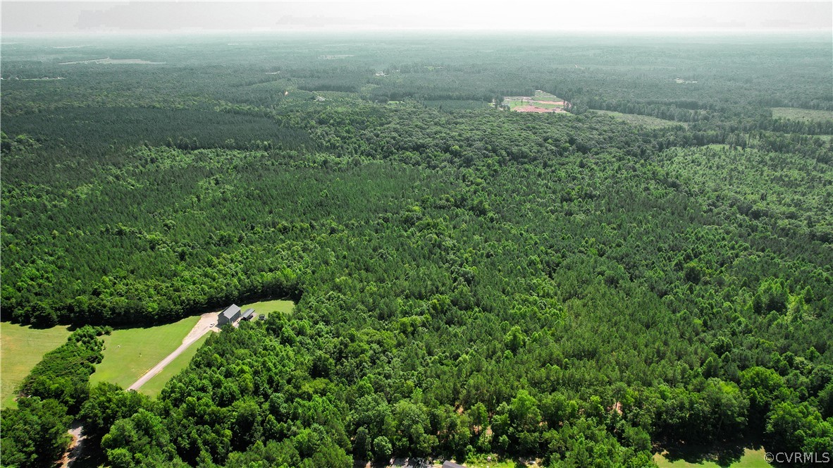 a view of a green field with lots of bushes