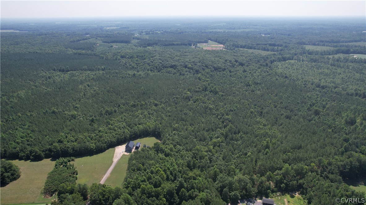 Tbd Tranquility Lane Sutherland, VA 23885 - Photo 12 of 35 a view of a field of grass and trees