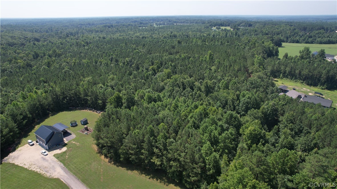 Tbd Tranquility Lane Sutherland, VA 23885 - Photo 17 of 35 a view of a forest with a street