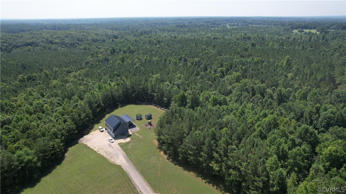 Tbd Tranquility Lane Sutherland, VA 23885 - Photo 18 of 35 a view of a forest with a yard