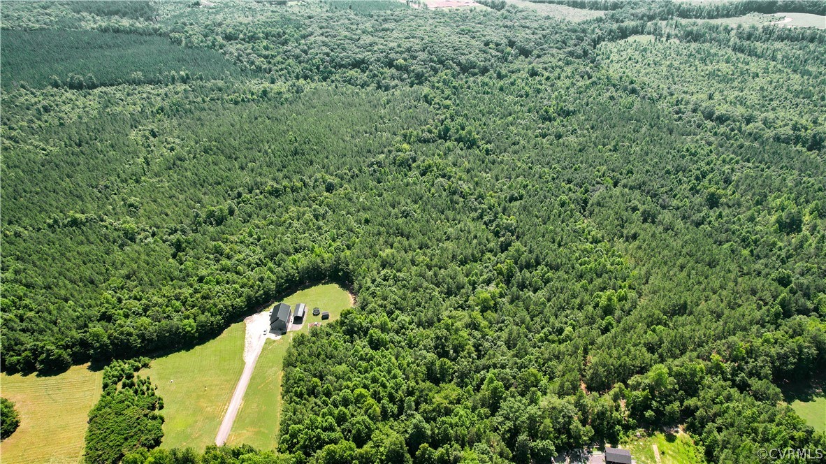 Tbd Tranquility Lane Sutherland, VA 23885 - Photo 2 of 35 a view of a lush green forest with a house in the background