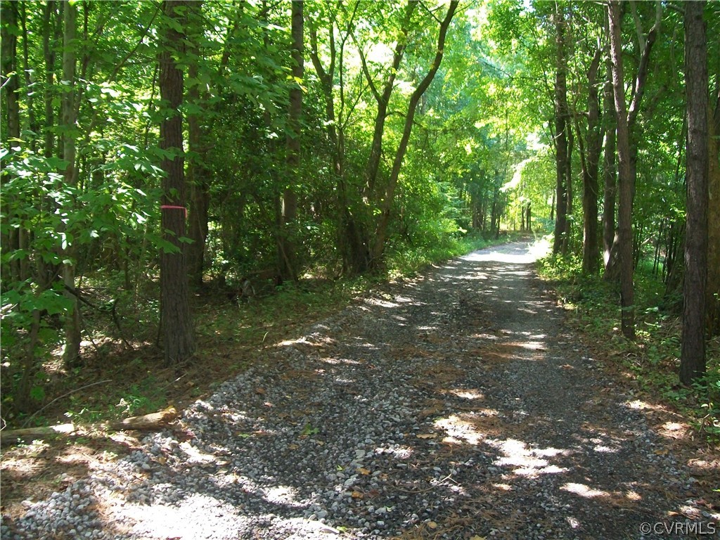 Tbd Tranquility Lane Sutherland, VA 23885 - Photo 21 of 35 a backyard of a house with lots of green space