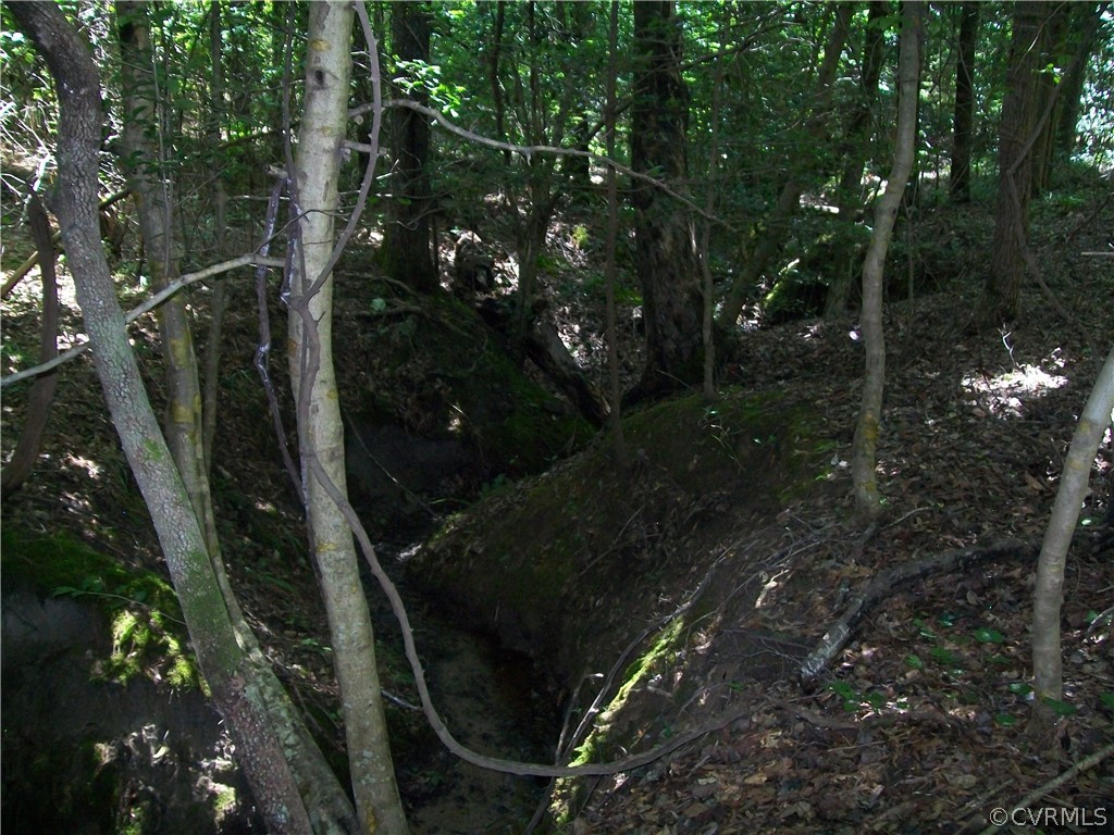 Tbd Tranquility Lane Sutherland, VA 23885 - Photo 24 of 35 a view of balcony