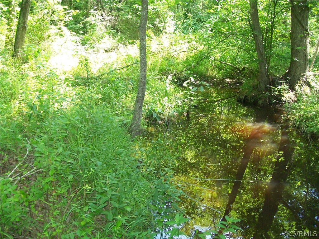 Tbd Tranquility Lane Sutherland, VA 23885 - Photo 27 of 35 a view of a lush green forest