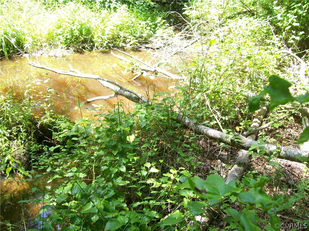 Tbd Tranquility Lane Sutherland, VA 23885 - Photo 29 of 35 a view of a yard with a tree