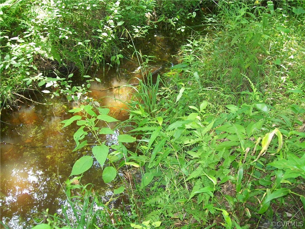 Tbd Tranquility Lane Sutherland, VA 23885 - Photo 30 of 35 a backyard of a house with lots of green space