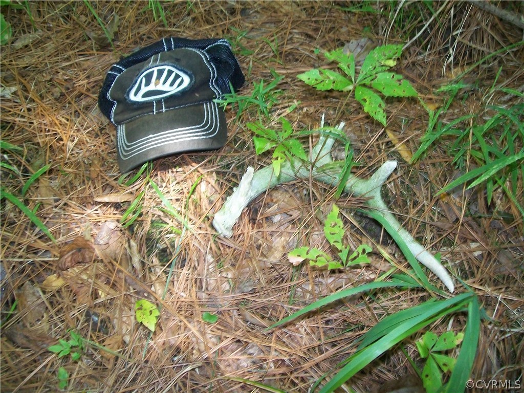 Tbd Tranquility Lane Sutherland, VA 23885 - Photo 35 of 35 a view of outdoor seating area