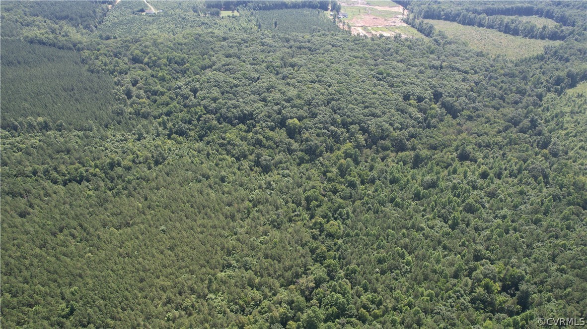 Tbd Tranquility Lane Sutherland, VA 23885 - Photo 7 of 35 a view of a dry yard with green space