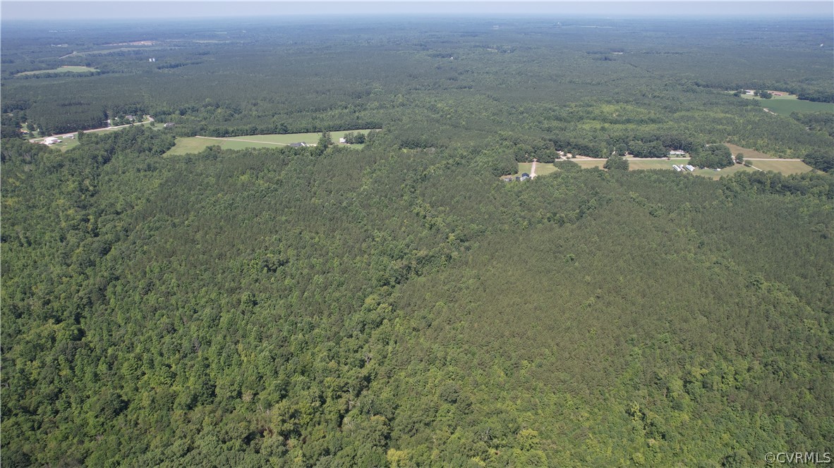 Tbd Tranquility Lane Sutherland, VA 23885 - Photo 8 of 35