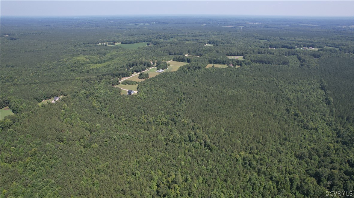 Tbd Tranquility Lane Sutherland, VA 23885 - Photo 9 of 35 a view of a dry yard