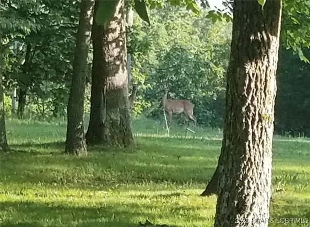 $60,000 | 9010 Acorn Lane, Stover, MO 65078