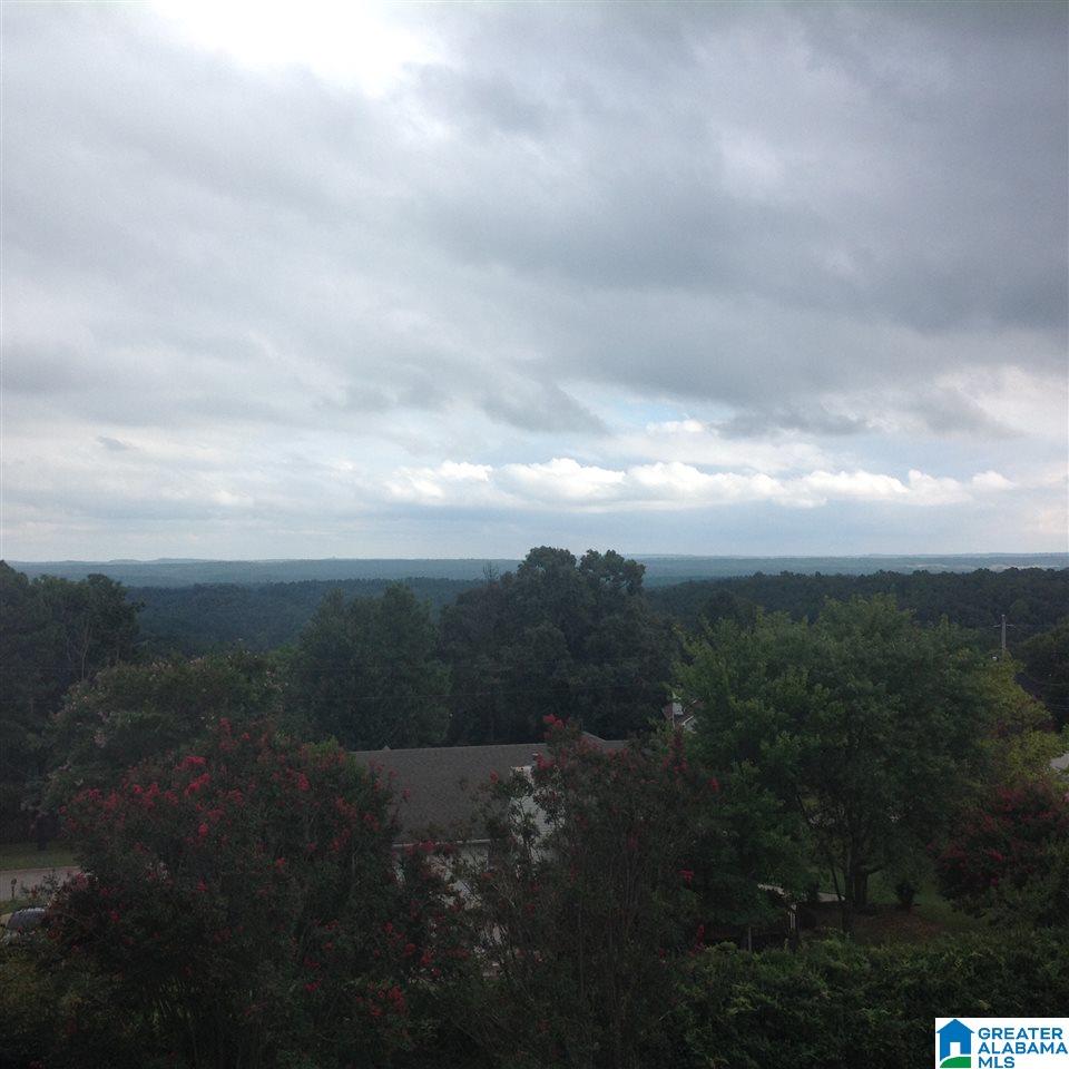 4511 South Shades Crest Road Helena, AL 35022 - Photo 23 of 24 Gallery Image 23