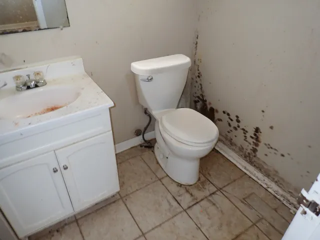 a bathroom with a sink and a toilet