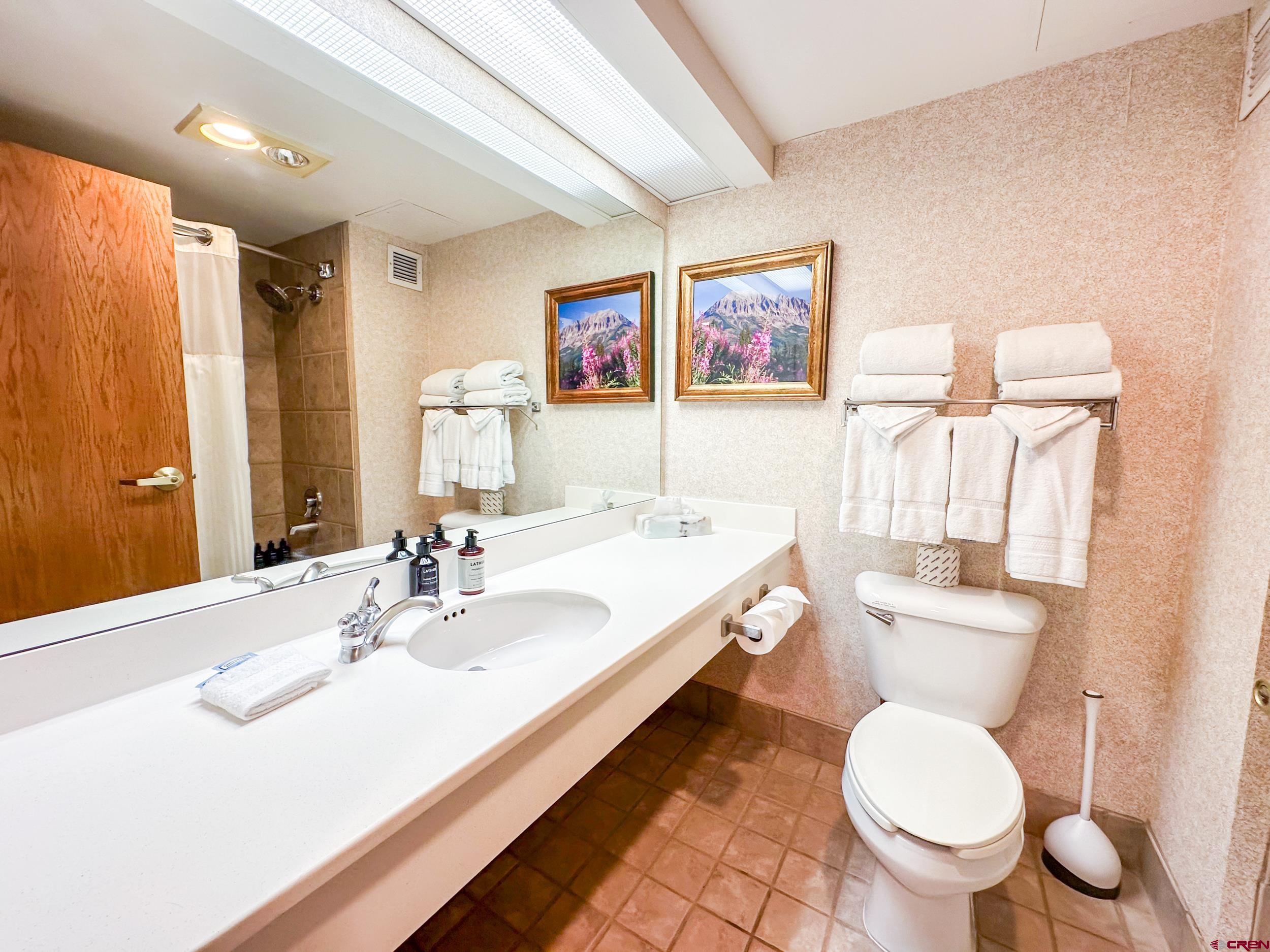 6 Emmons Road, Unit 557 Crested Butte, CO 81225 - Photo 13 of 22 Gallery Image 13