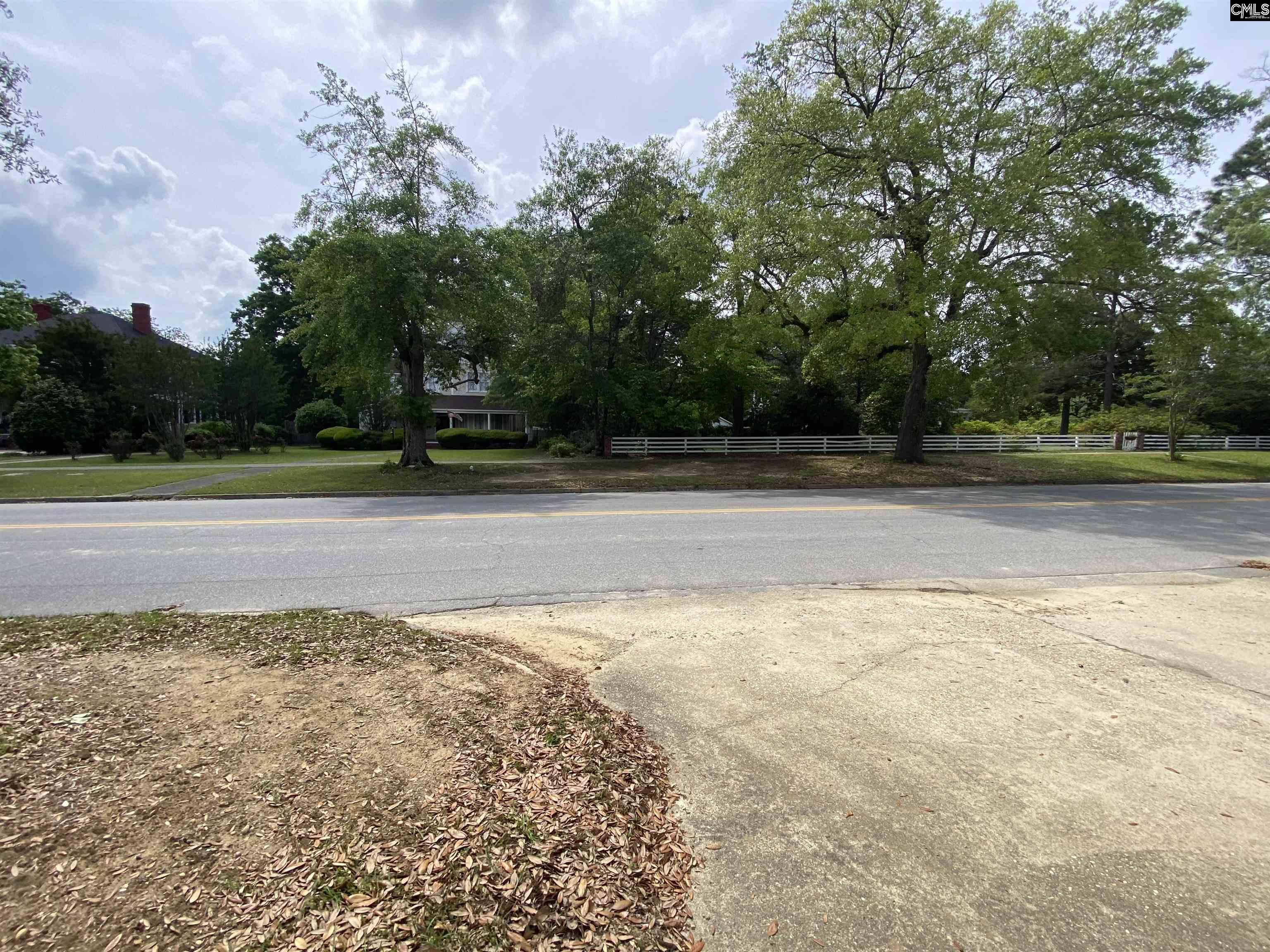 1310 Lyttleton Street Camden, SC 29020 - Photo 5 of 6