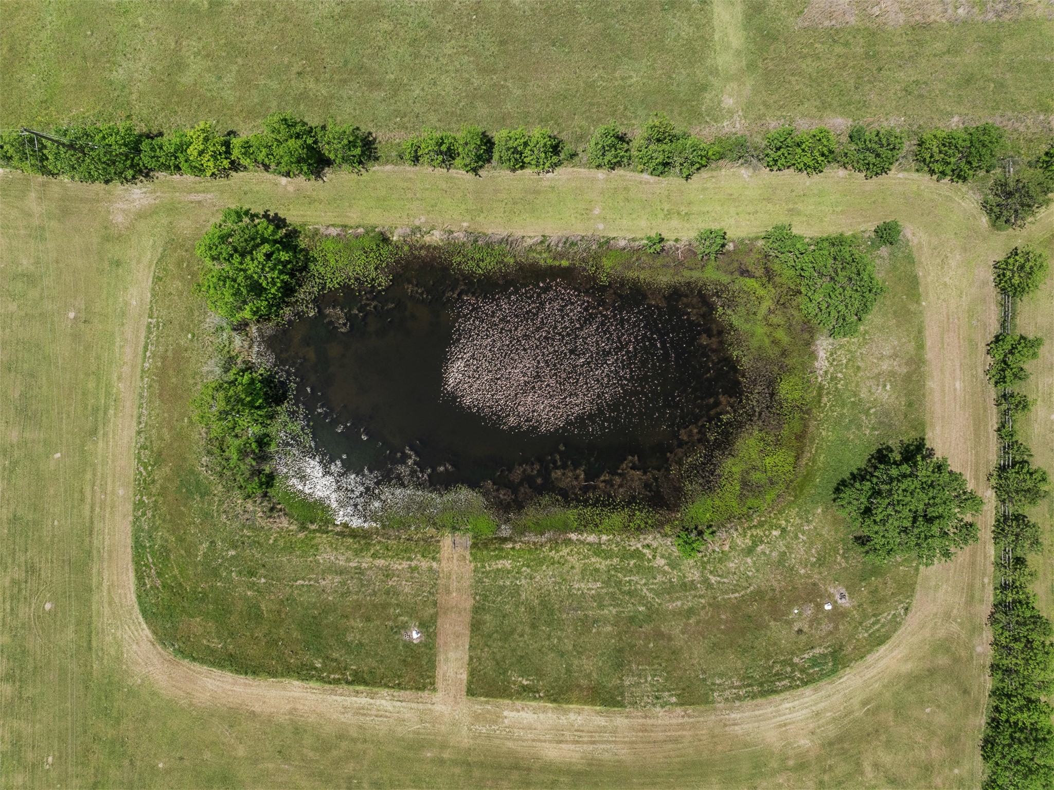 888 Tafelski Road New Waverly, TX 77358 - Photo 25 of 37