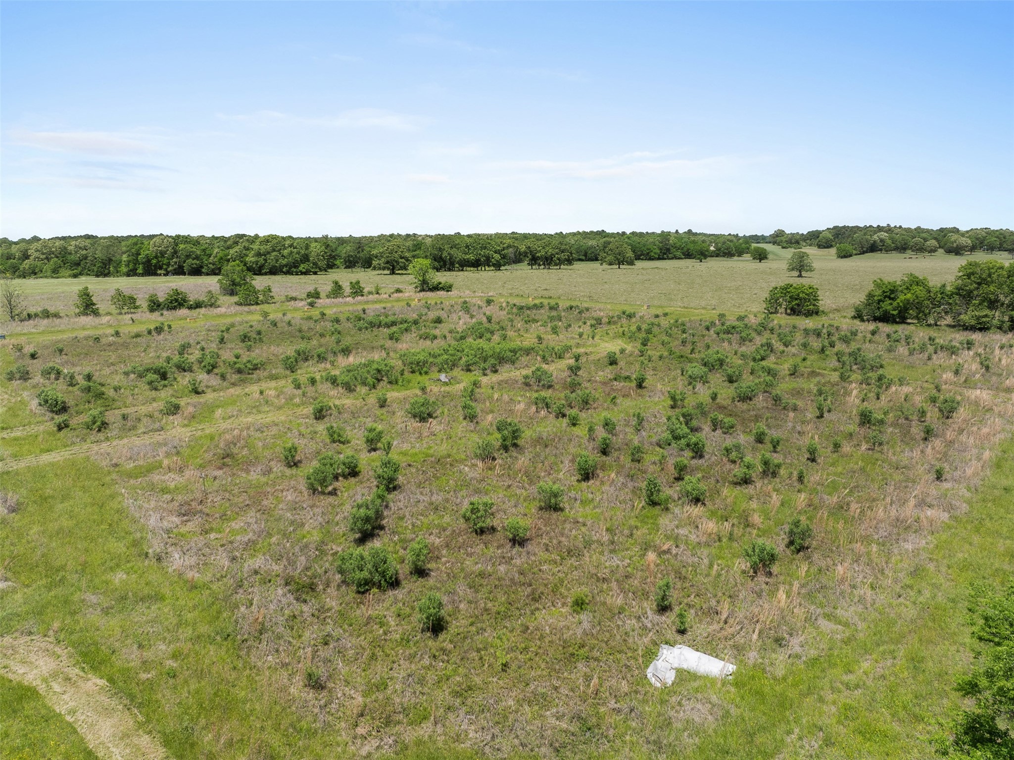 888 Tafelski Road New Waverly, TX 77358 - Photo 31 of 37