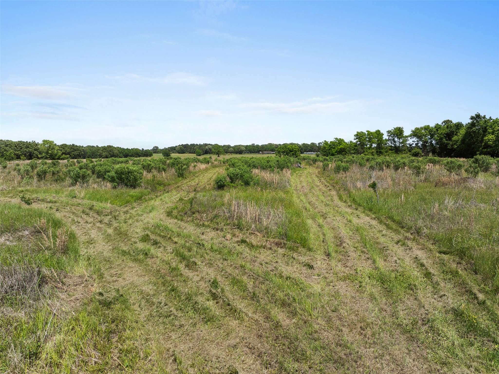 888 Tafelski Road New Waverly, TX 77358 - Photo 32 of 37